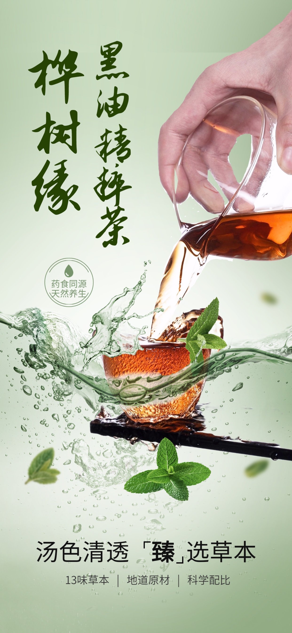 桦树缘®黑油精萃茶(图1)